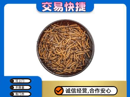 乾安县高价回收散虫草